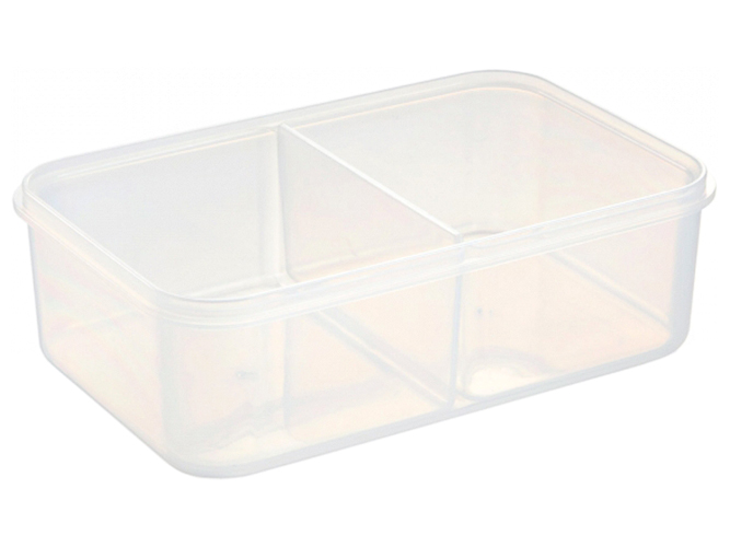 Контейнер с 2 вставками Freshbox, прямоугольный, 1,2л, 21100