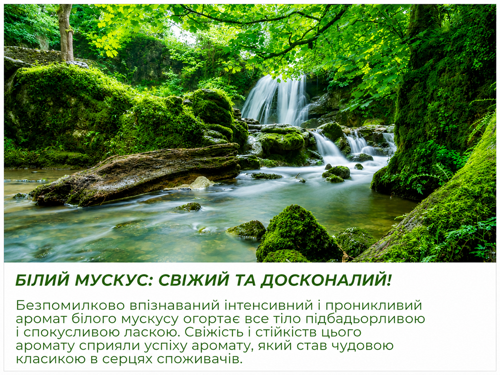 Гель для душа Vidal White Musk с ароматом белого мускуса, 500 мл