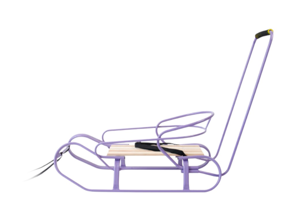 Санки детские с ручкой-толкателем Экспресс, фиолетовые, со спинкой и ремнем безопасности