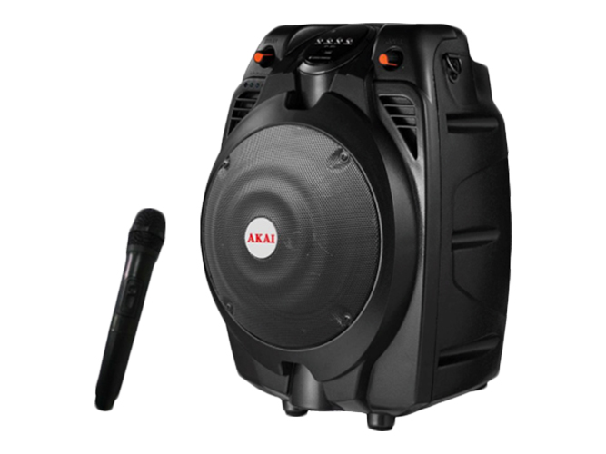 Портативная акустическая система Akai SS022A-X6