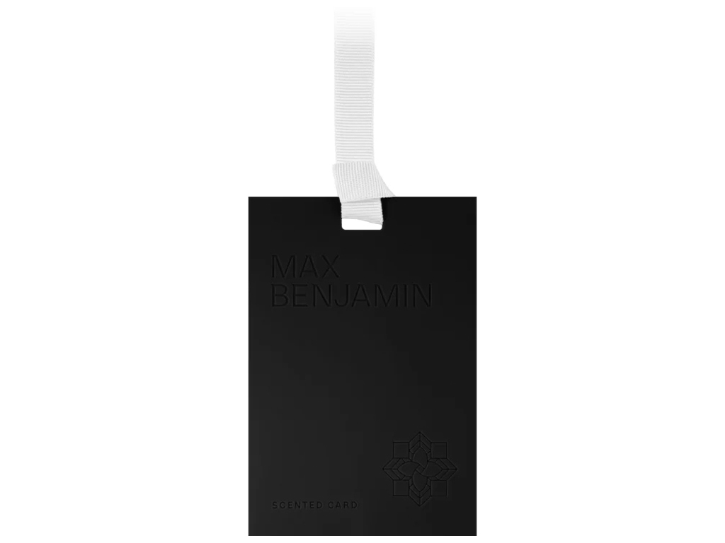 Освежитель воздуха Max Benjamin Scented Card Dodici, для шкафа и авто, 8×0,5×11,3см (717714)