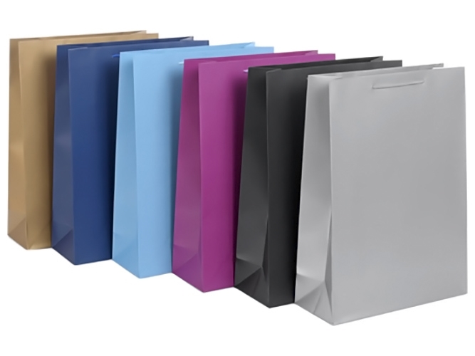 Пакет подарунковий паперовий L5 Colorato 31x42x12см