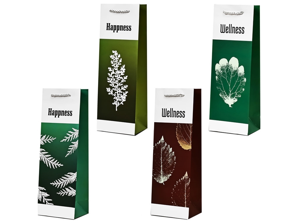 Пакет подарунковий паперовий під пляшку Present, 12x9x36см