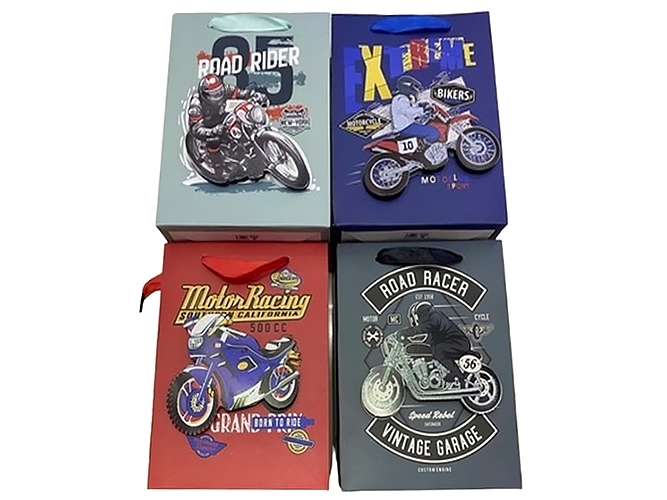 Пакет подарочный бумажный Road racer 3D M, 26x32x10см