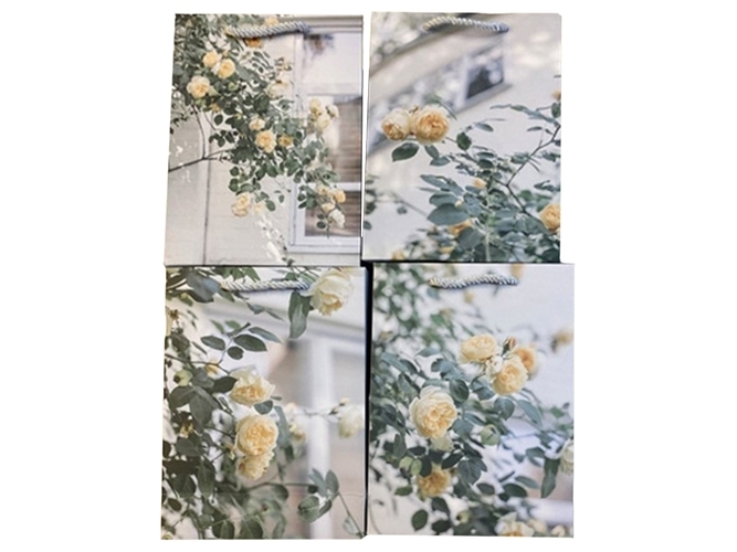 Пакет подарочный бумажный Roses M, 26x32x10см