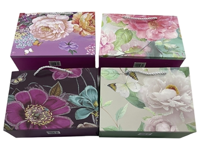 Пакет подарочный бумажный S Flower dance, 23x18x10см