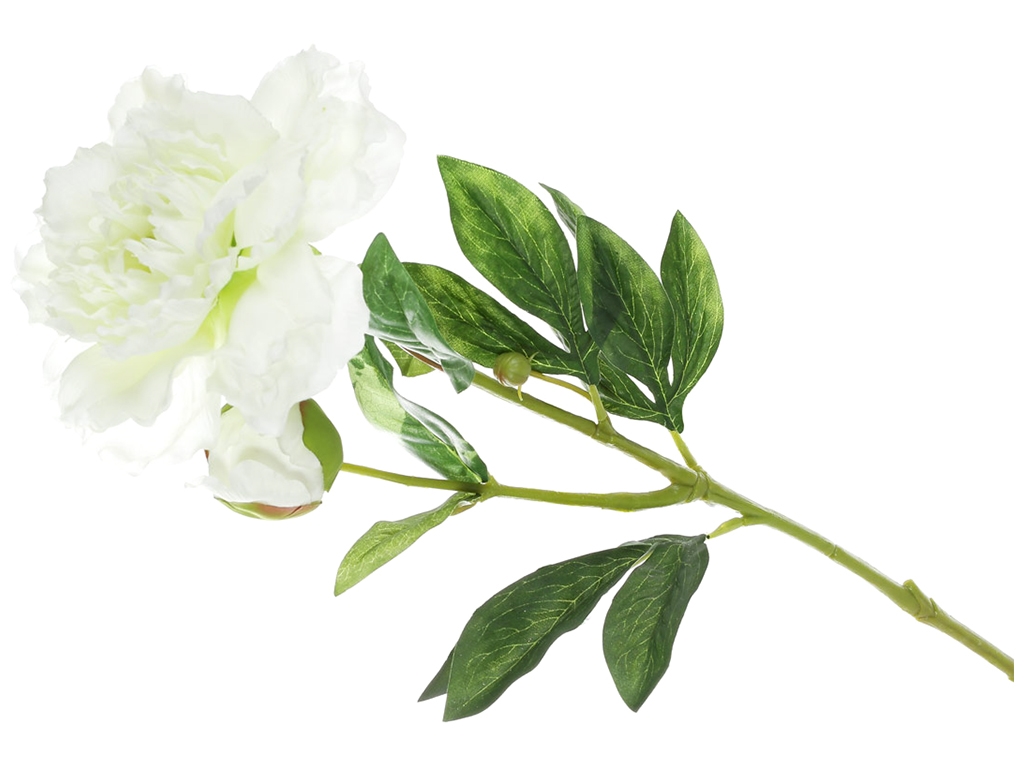 Півонія з бутоном на нозі, 59см, колір - молочно-білий